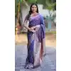 Wedding Ready Plus Size Sarees Family Functions for Curvy Women - 220107
