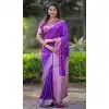 Exclusive Plus Size Sarees Festive Wear for Curvy Women - 220109