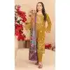Exclusive Plus Size Pakistani Suits Sangeet for Women - 220301