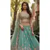 Traditional Plus Size Lehenga Choli Wedding in XL to 6XL Sizes - 220370