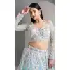 Traditional Plus Size Lehenga Choli Family for Women - 220431