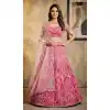 Exclusive Plus Size Lehenga Choli Party Wear Online - 220433