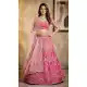 Pink Butterfly Net Coding Work Lehenga Choli - 220433