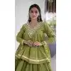 Parrot Green Zari Patta Plus Size Navratri Chaniya Choli - 173759730