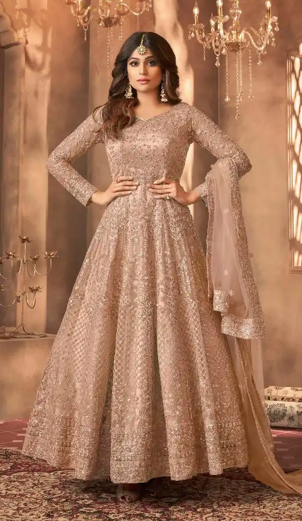 Beige Net Anarkali Suit with Embroidery Detail - 15042220626