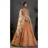 Rust Organza Designer Plus Size Lehenga Choli with Embroidery 176182486