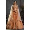 Rust Organza Designer Plus Size Lehenga Choli with Embroidery 176182486