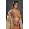 Rust Organza Designer Plus Size Lehenga Choli with Embroidery 176182486