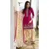 Green Color with Cotton Fabric Patiala Style Punjabi Suit | FH383563010