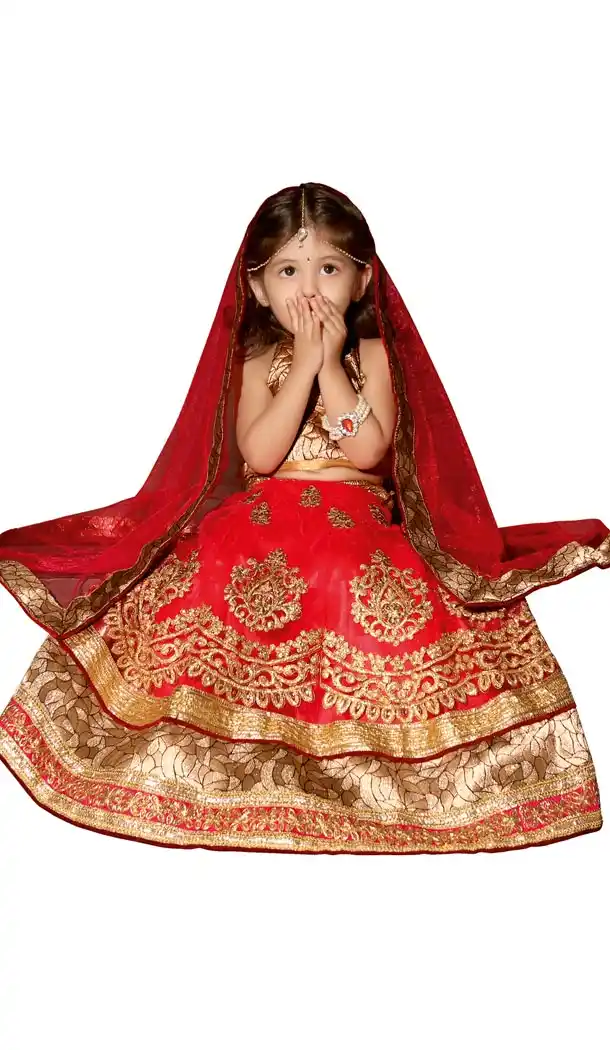 Deep Scarlet Color Net A Line Lehenga Kids Lehenga Cholis online | 384063064