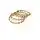 Bangles Bracelets
