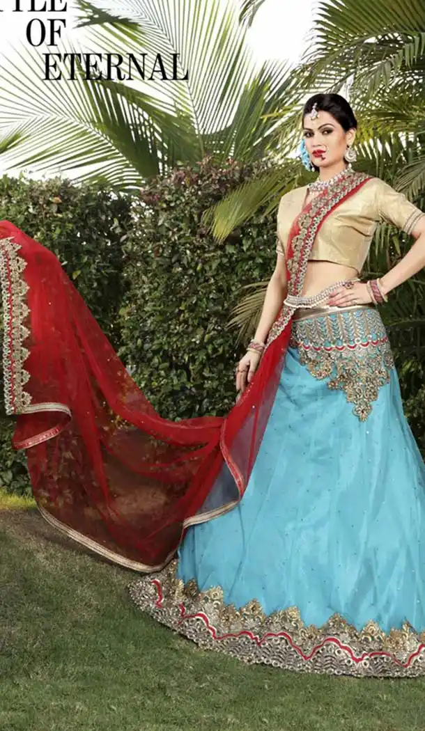 Sky Blue and Net Lehenga Choli Online Shopping | FH403965404