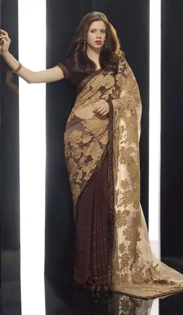 Chocolate Saree With Charming Embroidered Pallu | FH420567270