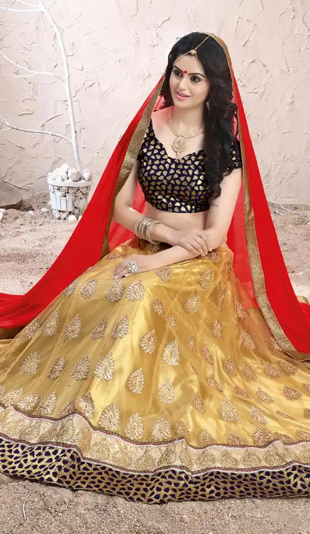 Cream Color Net Circular Lehenga Choli with Dupatta | FH424967858