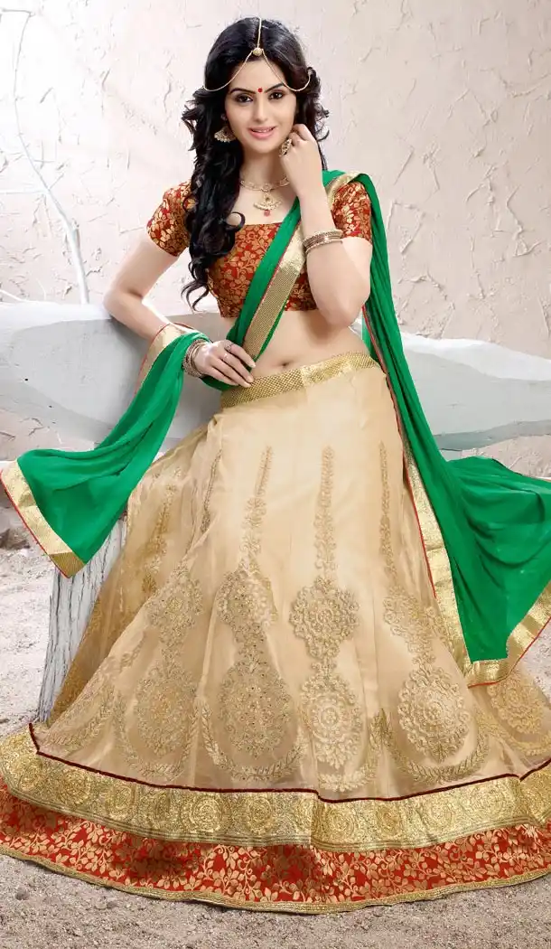 Beige Color Net Circular Lehenga Choli with Dupatta | FH424967860
