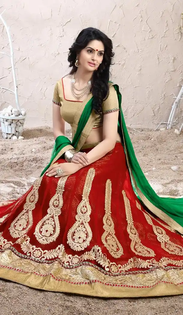 Red Color Net Circular Lehenga Choli with Dupatta | FH424967862