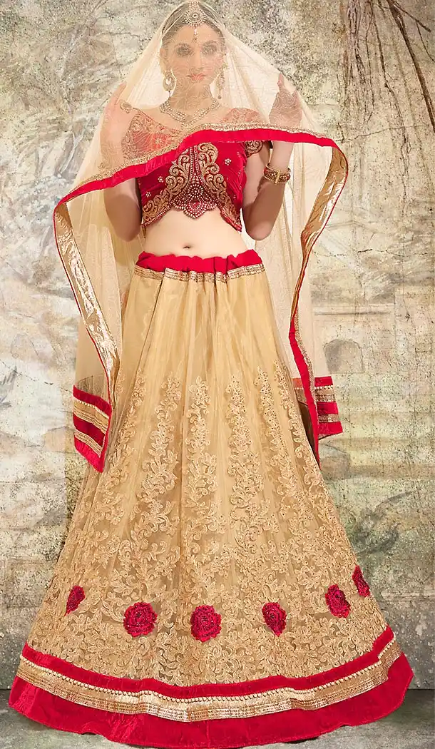 Tan Brown Color Net Designer Lehengas Choli with Dupatta | FH437269221