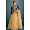 Tan Brown Color Net Fabric Plain Lehenga Choli with Dupatta | FH444370033