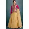 Tan Brown Color Net Fabric Plain Lehenga Choli with Dupatta | FH444370033