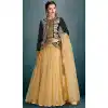 Tan Brown Color Net Fabric Plain Lehenga Choli with Dupatta | FH444370033