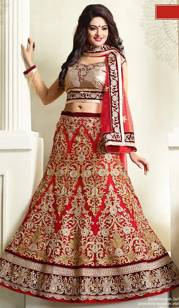 Red Color Net A Line Lehenga Bridal Lehenga Choli | FH455871323