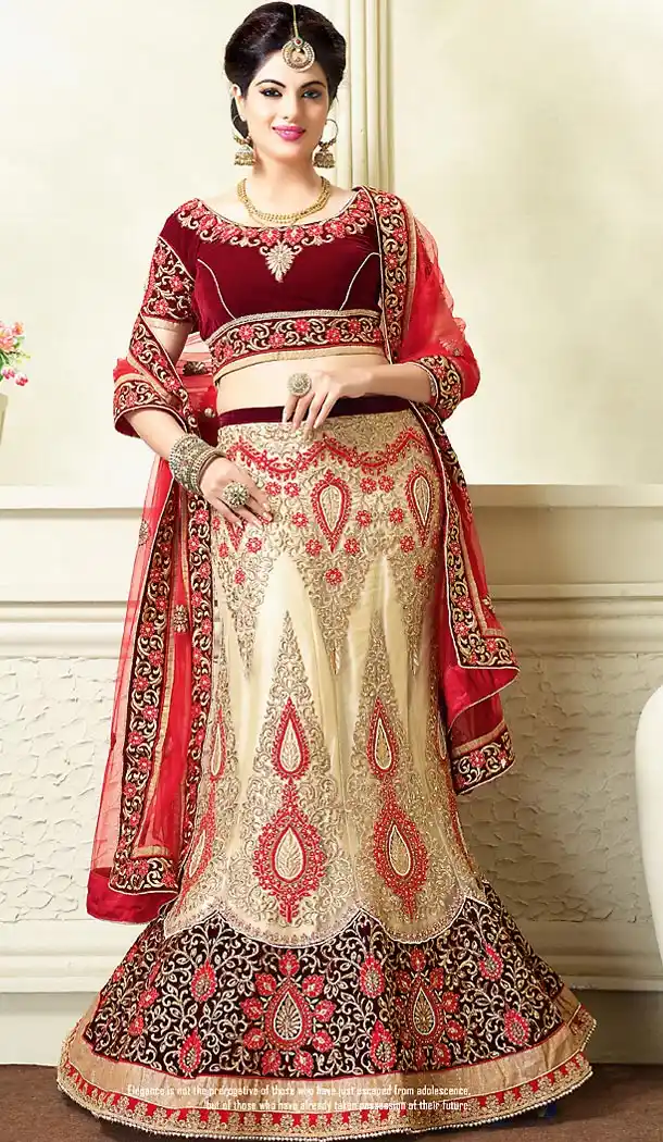 Beige Color Net A Line Lehenga Bridal Lehenga Choli | FH455871326