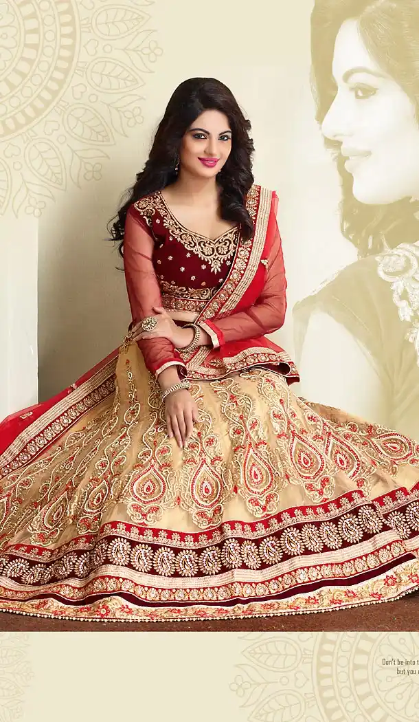 Beige Color Net A Line Lehenga Bridal Lehenga Choli | FH455871333