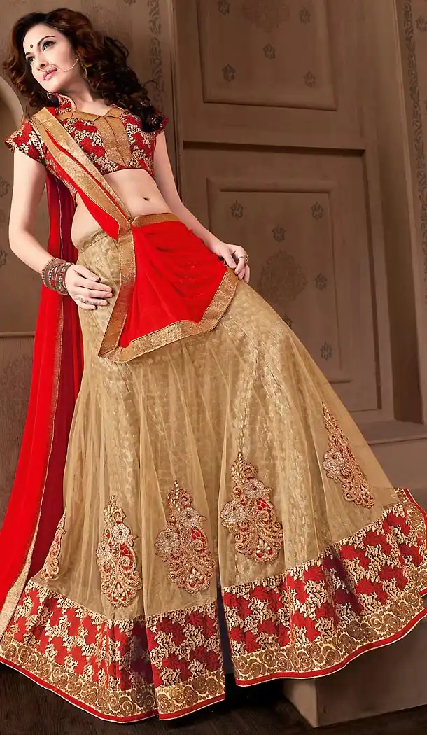 Tan Brown Color Net Circular Style Stitched Lehenga Choli | FH459471784