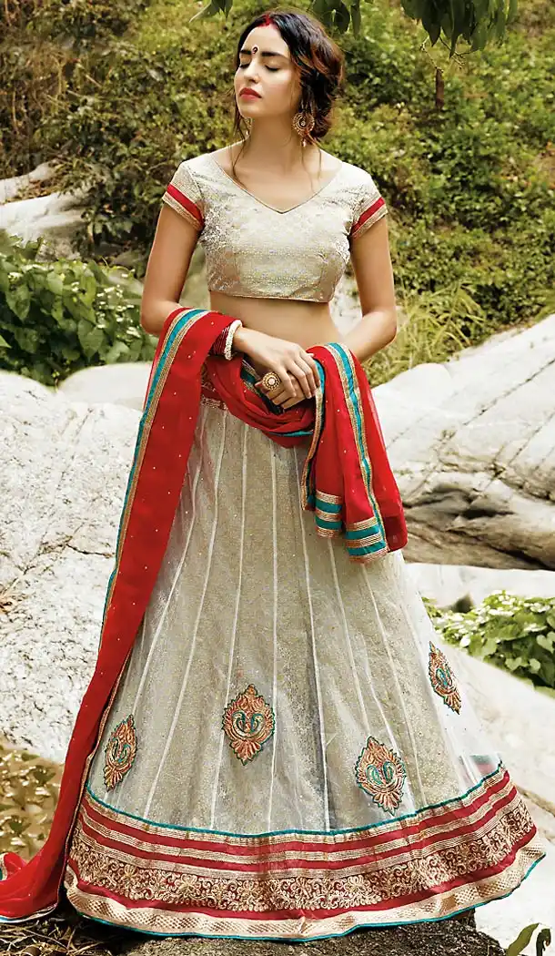 Dove Color Net A Line Style Stitched Lehenga Choli | FH463072234