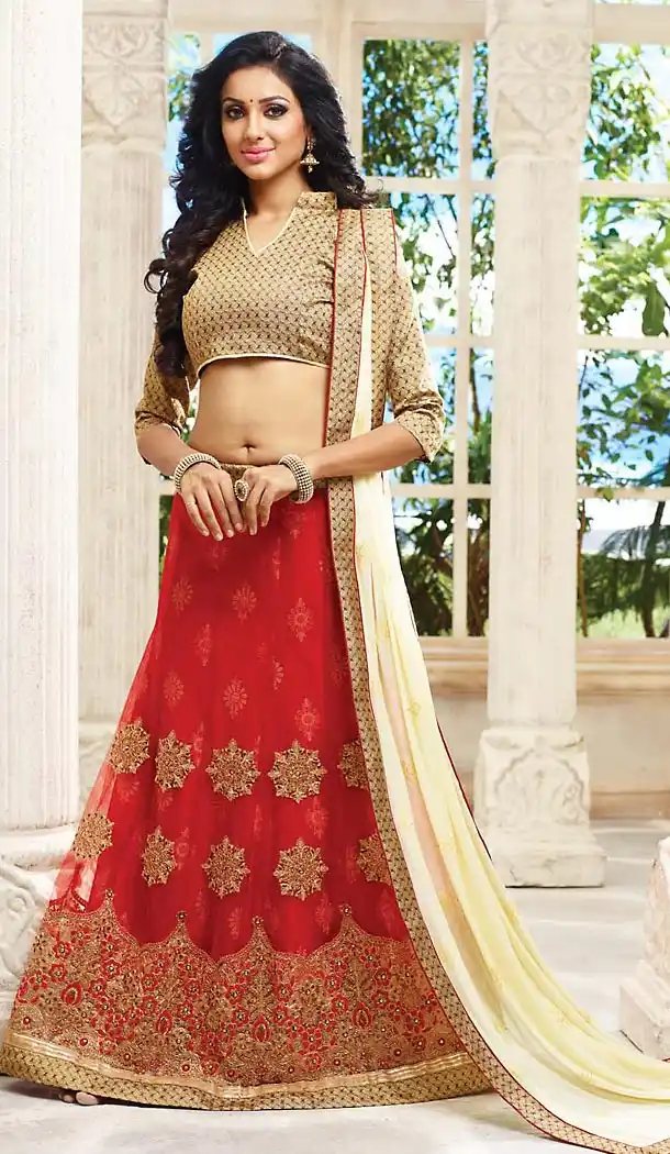 Red Color Net A Line Style Designer Lehenga Choli | FH467772784