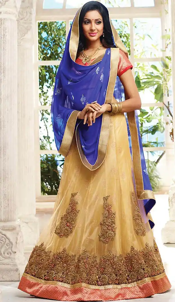Beige Color Net A Line Style Designer Lehenga Choli | FH467772787