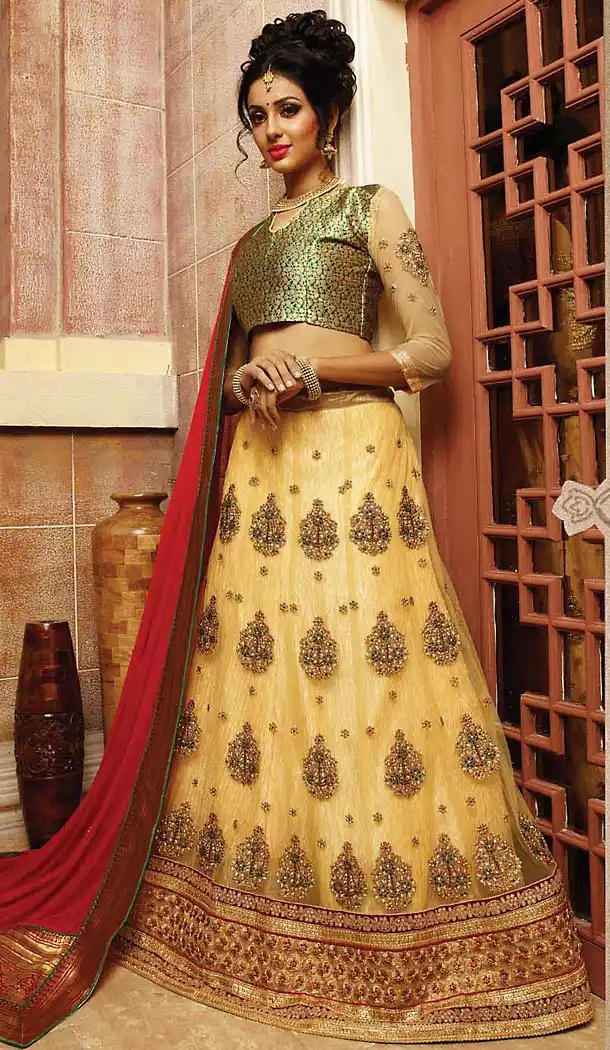 Beige Color Net A Line Style Lehenga Choli | FH467872797