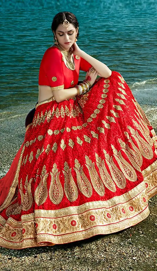 Deep Scarlet Exquisite Net circular Style Lehenga Choli | FH468972898