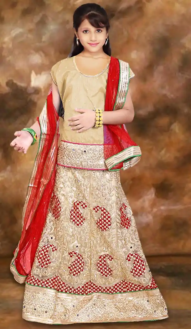 Beige Color Net A Line Style Girl Readymade Lehenga Choli | FH488975106