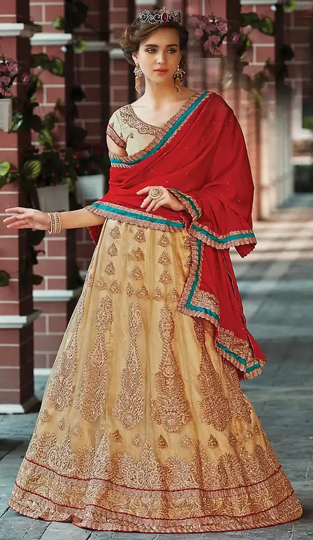 Tan Brown Color Net A Line Style Party Wear Lehenga Choli | FH489875257