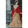 Deep Pink Color Net A Line Style Party Wear Lehenga Choli | FH489875259