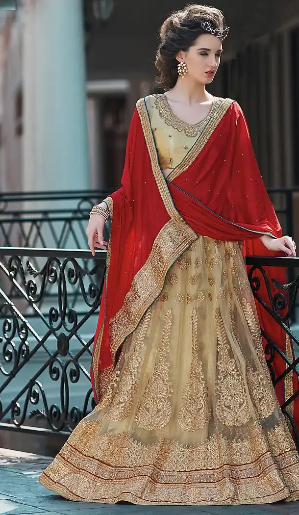 Deep Pink Color Net A Line Style Party Wear Lehenga Choli | FH489875259