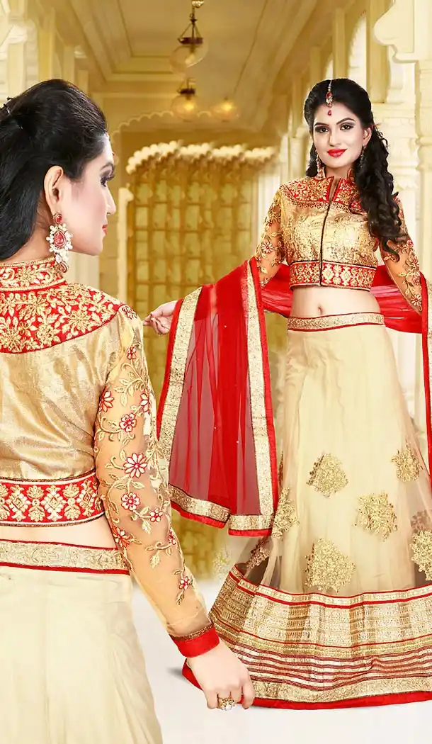 Circular Style Beige Color Net Designer Wear Lehenga Choli | FH495875973