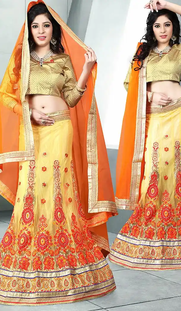 Beige Color Net A Line Style Designer Lehenga Choli | FH496776107