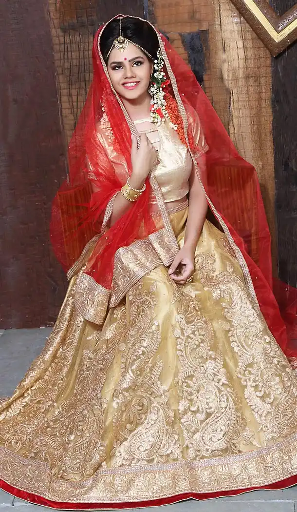 Tan Brown Color Net A Line Style Party Wear Lehenga Choli | FH497176190