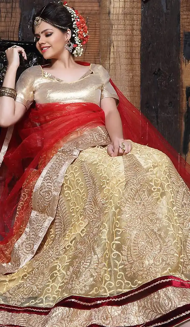 Beige Color Net A Line Style Party Wear Lehenga Choli | FH497176193