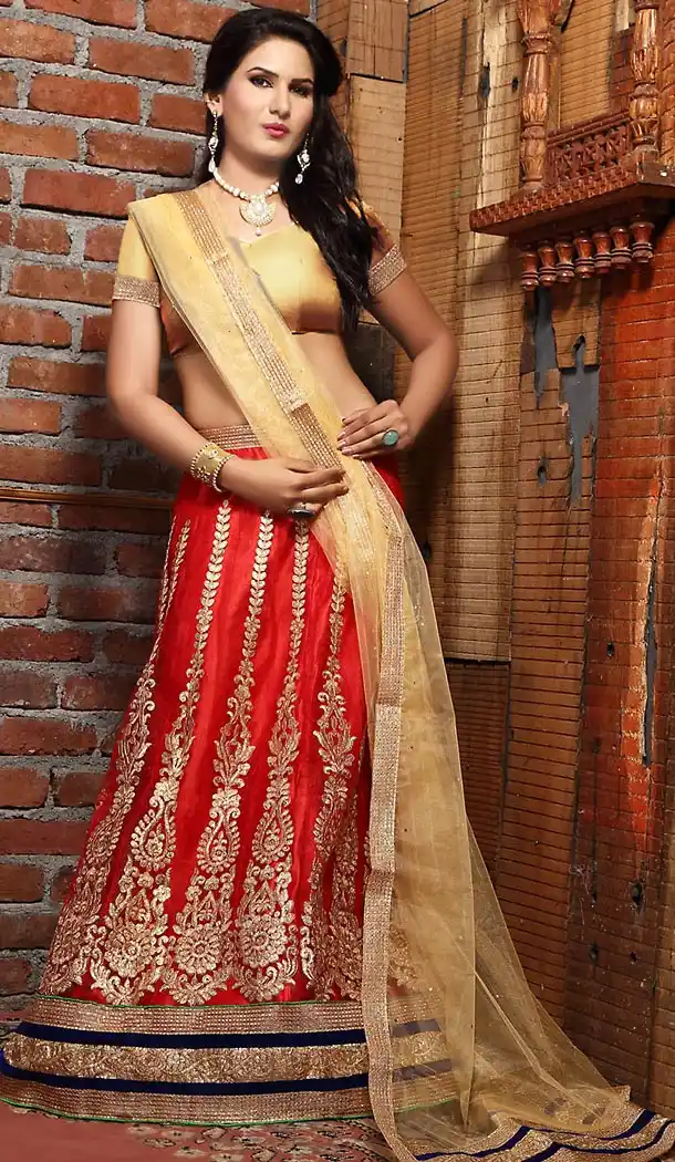 Deep Scarlet Color Net A Line Style Party Wear Lehenga Choli | FH497176198
