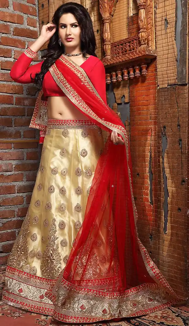 Beige Color Net A Line Style Treditional Wear Lehenga Choli | FH497276207