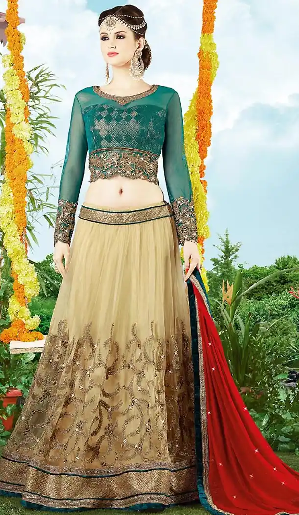 Beige Color Net A Line Style Designer Lehenga Choli | FH499976487