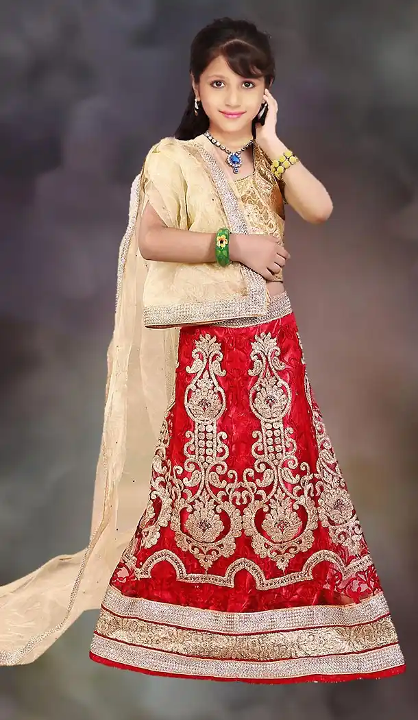 Red Color Net Circular Style Kids Girls Lehenga Choli | FH501176638