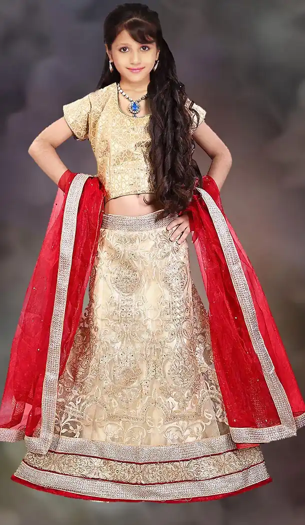Beige Color Net Circular Style Kids Girls Lehenga Choli | FH501176639