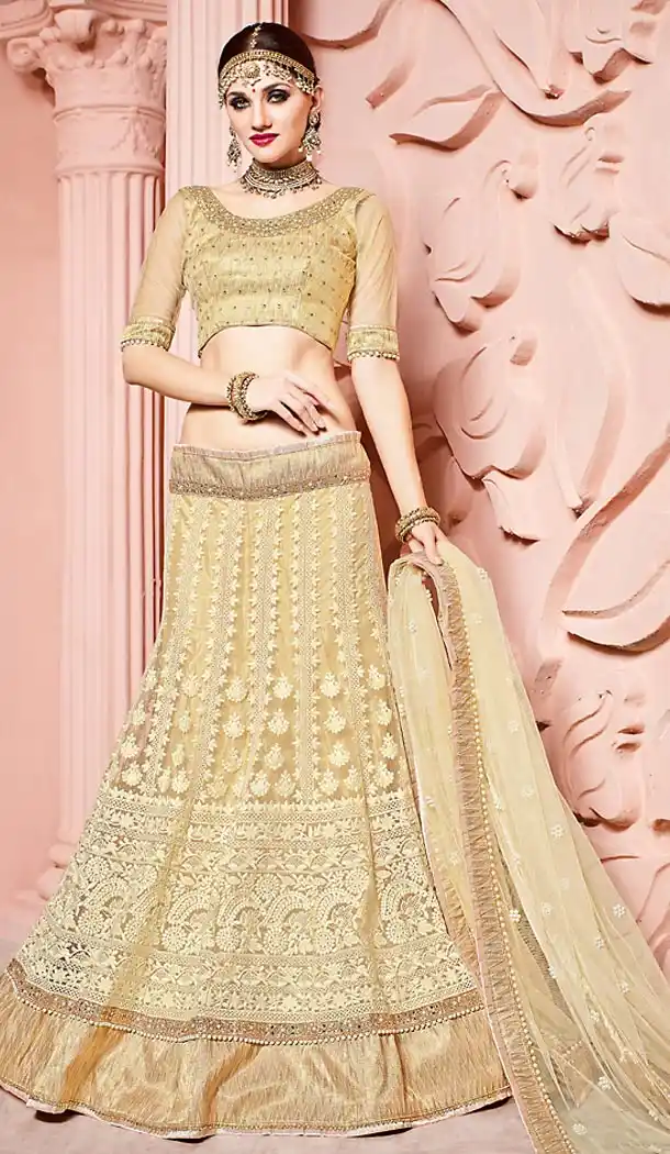 Beige Color Net Circular Style Designer Lehenga Choli | FH501976694