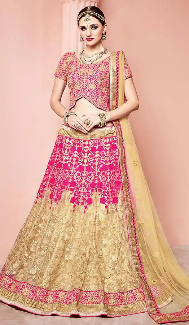 Deep Pink Color Net Circular Style Designer Lehenga Choli | FH501976698