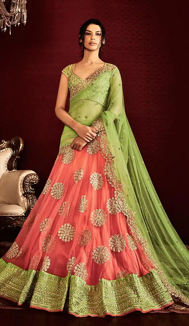 Salmon Color Net Lehenga Style Designer Stitched Sari Blouse | FH502176766