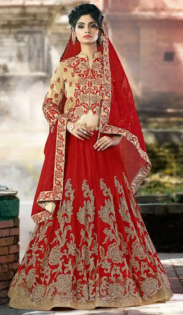 Red Color Net Sangeet Wear Lehenga Choli | FH506877274